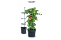 Doniczka do pomidorów Tomato Grower śr.30cm, antracytowa - PROSPERPLAST